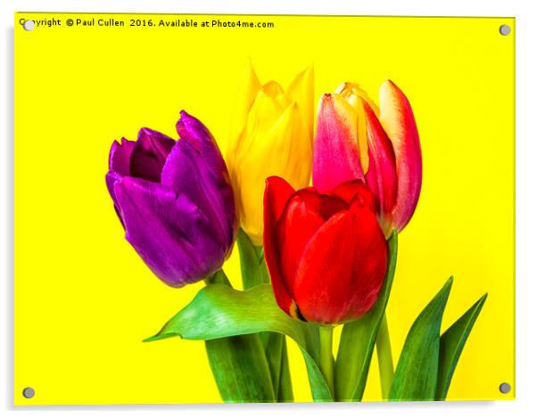 Four Tulips Acrylic by Paul Cullen