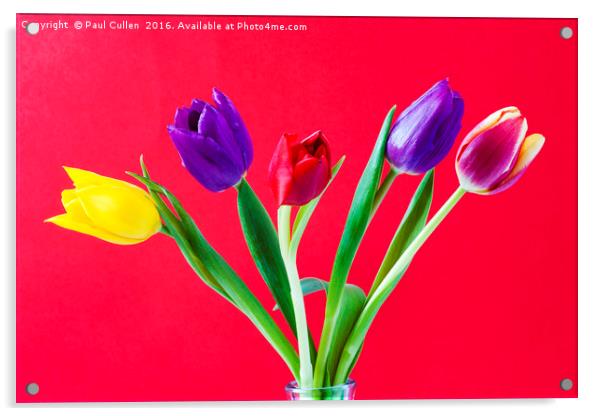 Five colourful Tulips Acrylic by Paul Cullen