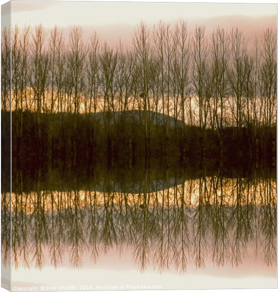 silver birch reflection in herefordshire Canvas Print by paul ratcliffe