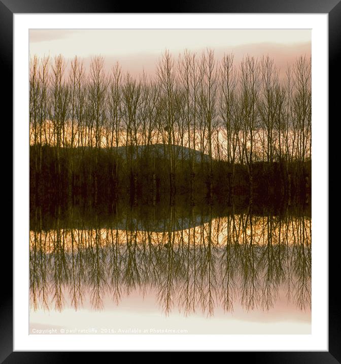 silver birch reflection in herefordshire Framed Mounted Print by paul ratcliffe