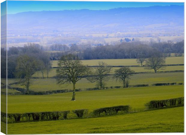 open fields in the wye valley Canvas Print by paul ratcliffe