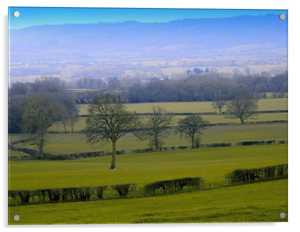 open fields in the wye valley Acrylic by paul ratcliffe