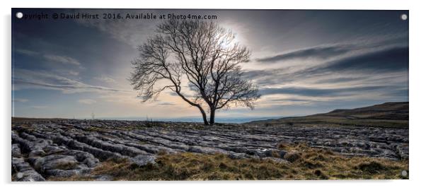 Looking Towards Malham Acrylic by David Hirst