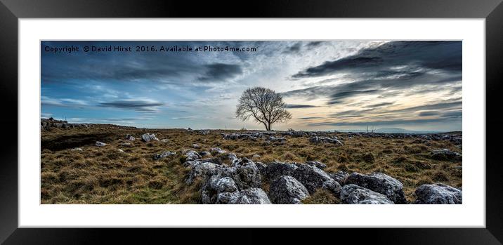 Limestone walk Framed Mounted Print by David Hirst