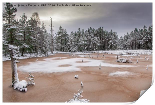 Boat of Garten Pond Print by Keith Thorburn EFIAP/b