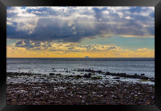 Sun, Sea, Sky and The Ailsa Craig Framed Print by Pauline MacFarlane