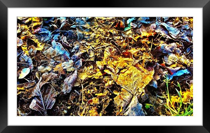 Frosty Leaves Framed Mounted Print by Carmel Fiorentini