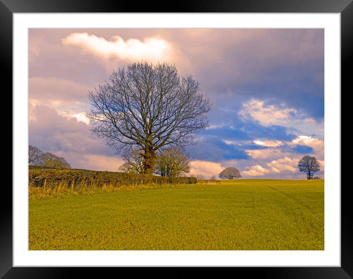 field view apostle farm kington herefordshire Framed Mounted Print by paul ratcliffe