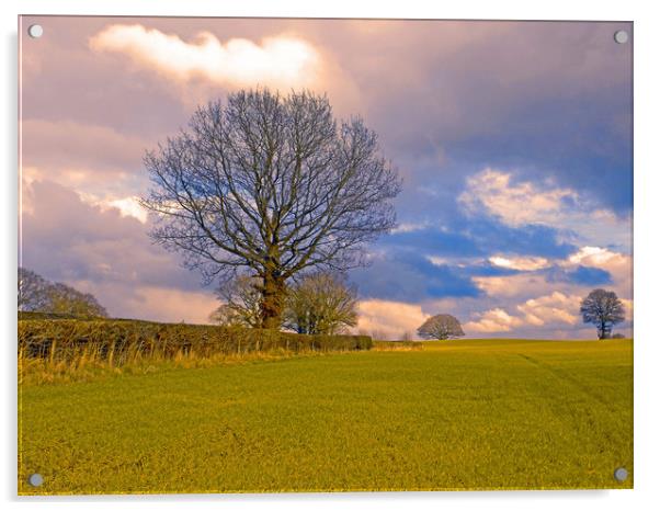 field view apostle farm kington herefordshire Acrylic by paul ratcliffe