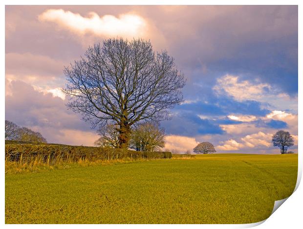 field view apostle farm kington herefordshire Print by paul ratcliffe