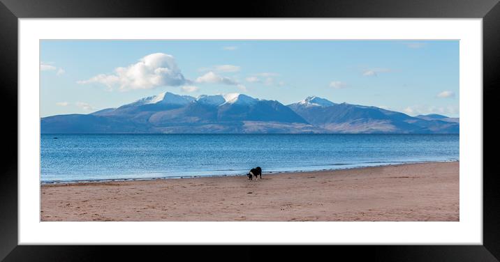 The Collie on the Beach, Seamill Framed Mounted Print by Pauline MacFarlane
