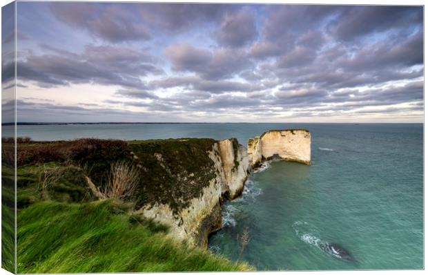 Old Harry rock  Canvas Print by Shaun Jacobs