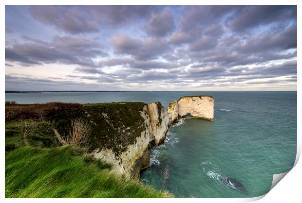 Old Harry rock  Print by Shaun Jacobs