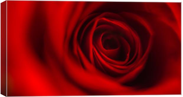 Red Rose Petals Canvas Print by Simon West
