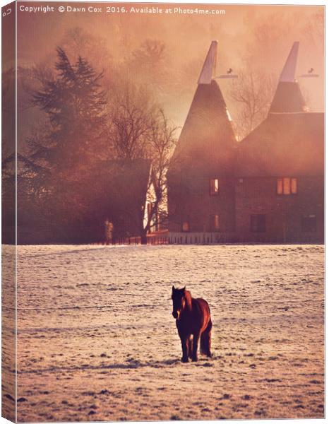 Oast and Pony Canvas Print by Dawn Cox