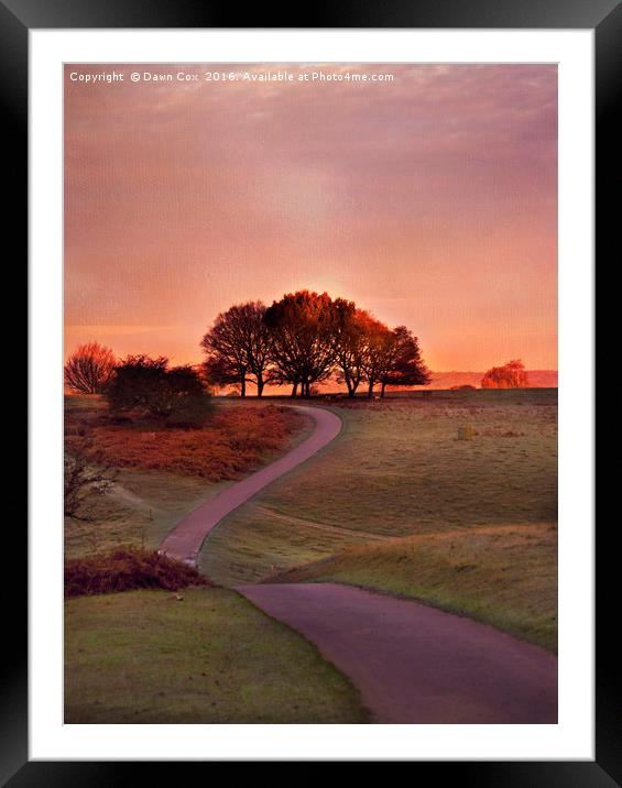 The Winding Pathway Framed Mounted Print by Dawn Cox