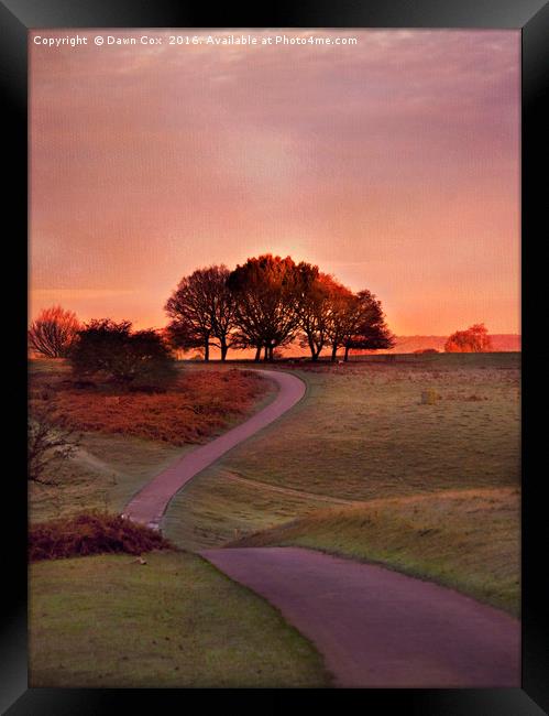 The Winding Pathway Framed Print by Dawn Cox