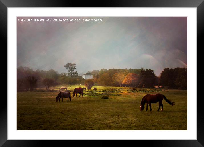 Grazing Horses Framed Mounted Print by Dawn Cox