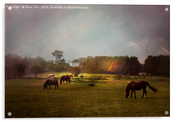 Grazing Horses Acrylic by Dawn Cox