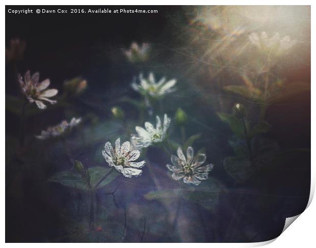 Woodland Flowers Print by Dawn Cox