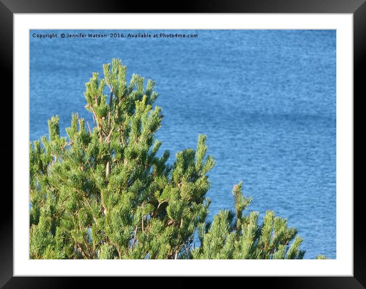 Pine tree by the sea Framed Mounted Print by Jennifer Henderson