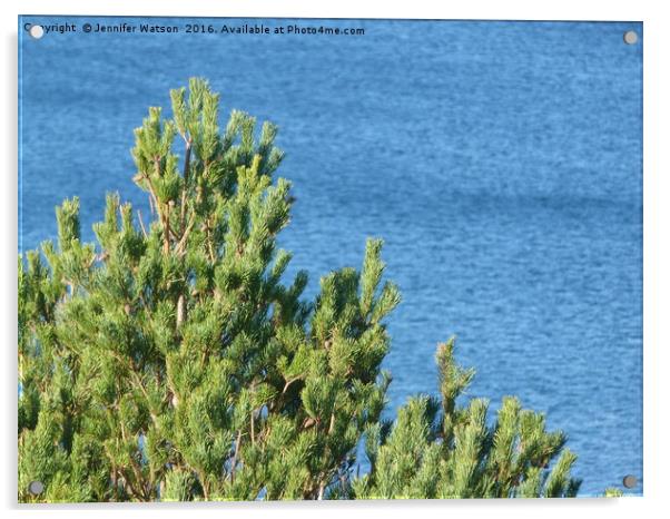 Pine tree by the sea Acrylic by Jennifer Henderson