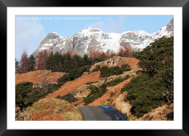 Off the beaten track Framed Mounted Print by Susan Tinsley