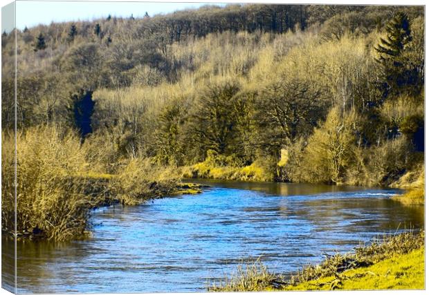 wye river at whitney on wye Canvas Print by paul ratcliffe