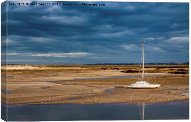 Stranded at low tide Canvas Print by Dave Angood