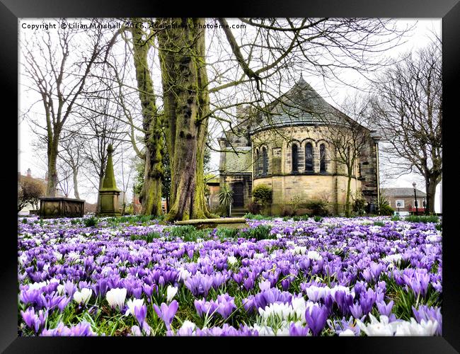 Springtime at St Chads.  Framed Print by Lilian Marshall