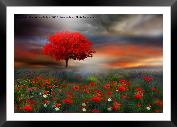 The little Red Tree  Framed Mounted Print by Heaven's Gift xxx68