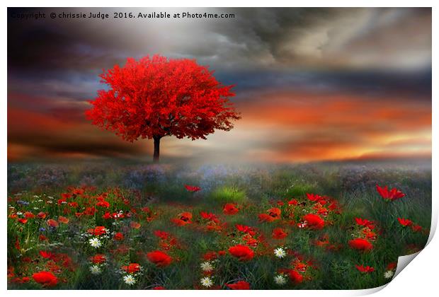 The little Red Tree  Print by Heaven's Gift xxx68