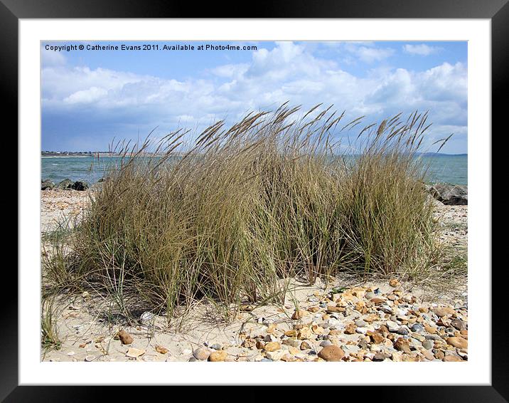 Beach Grass Framed Mounted Print by Catherine Fowler