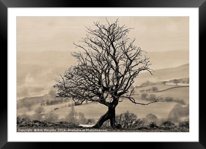 Eglwysilan Kneeling Tree Framed Mounted Print by Bob Morgans
