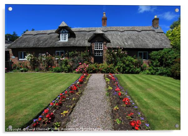 Beautiful Thatched Cottage Acrylic by David Chennell