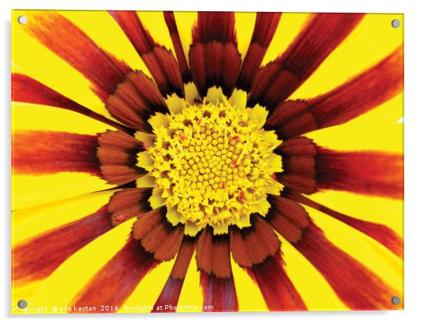 A beautiful flower Acrylic by eda kaytan