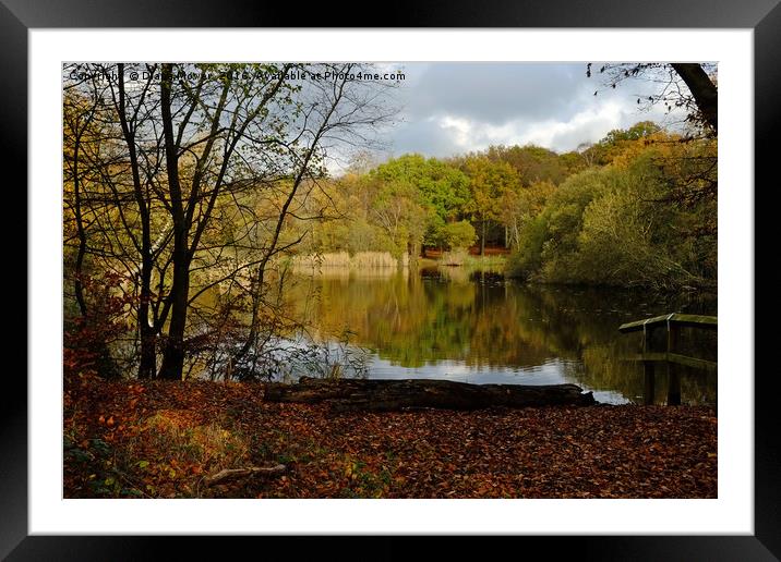 Wake Valley Pond, Epping. Framed Mounted Print by Diana Mower