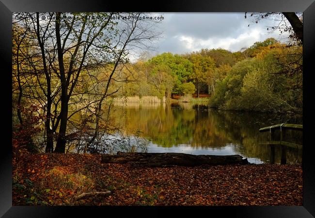 Wake Valley Pond, Epping. Framed Print by Diana Mower