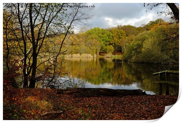 Wake Valley Pond, Epping. Print by Diana Mower