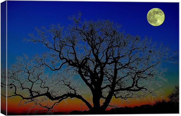 Moonlight Canvas Print by stephen walton