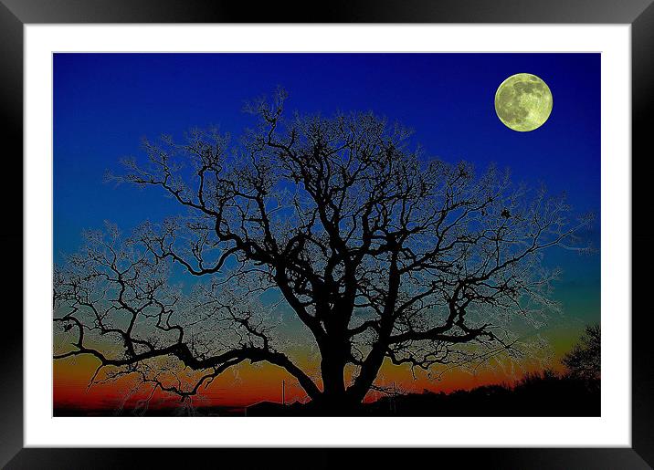 Moonlight Framed Mounted Print by stephen walton