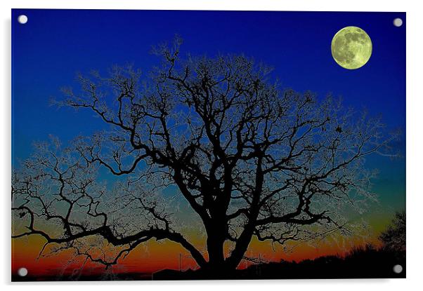 Moonlight Acrylic by stephen walton