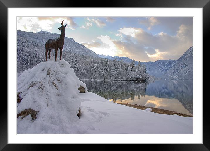 Alpine moods Framed Mounted Print by Ian Middleton
