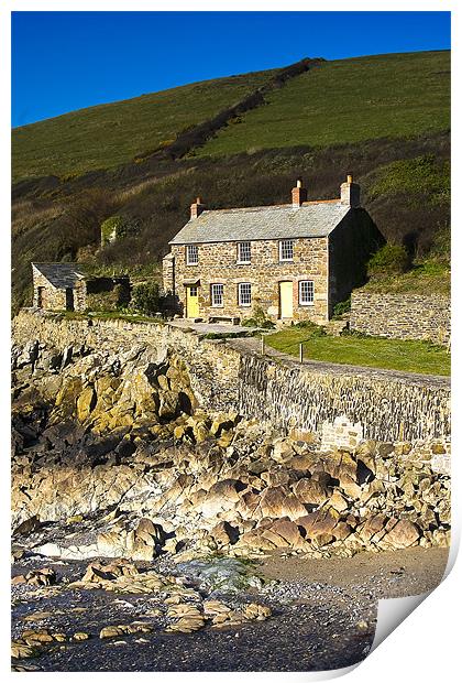 Port Quin Cottage Print by David Wilkins