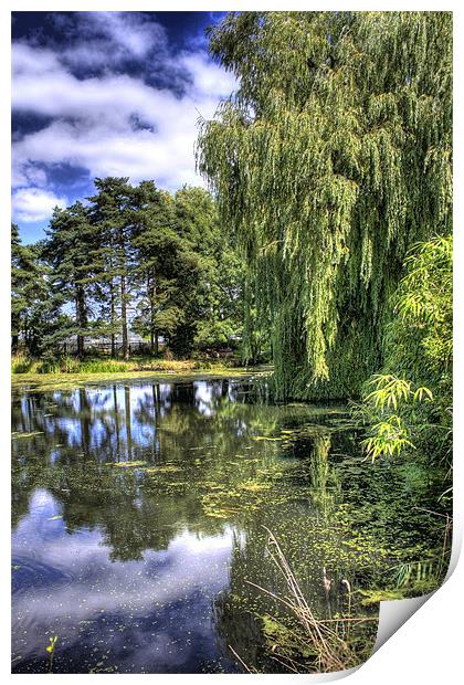 River Wensum, Norfolk Print by Gypsyofthesky Photography