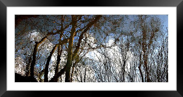 Reflected Framed Mounted Print by Stephen Maxwell