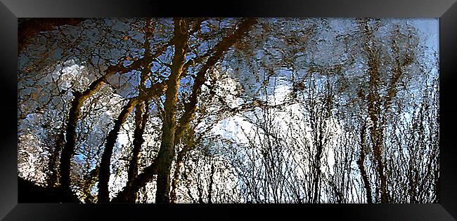 Reflected Framed Print by Stephen Maxwell