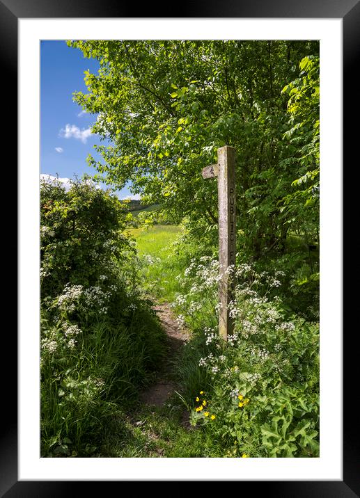 Footpath sign in summer Framed Mounted Print by Andrew Kearton