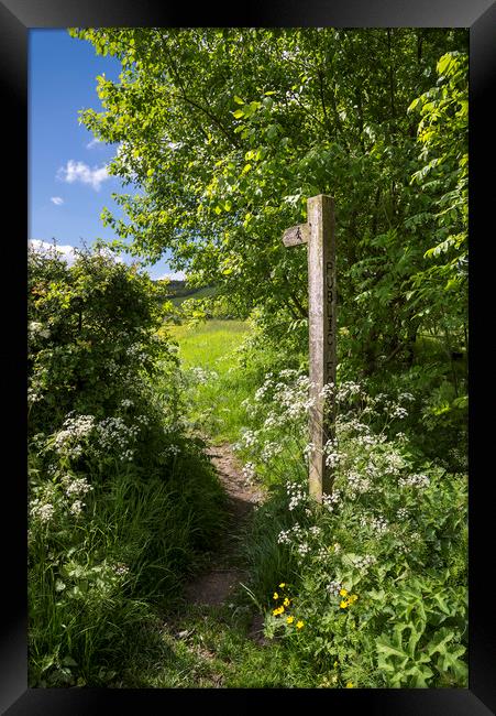 Footpath sign in summer Framed Print by Andrew Kearton