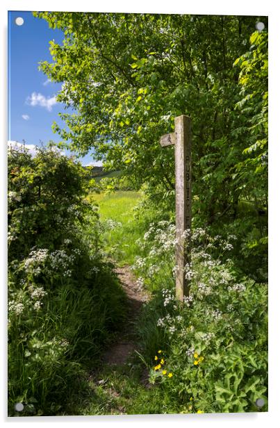 Footpath sign in summer Acrylic by Andrew Kearton